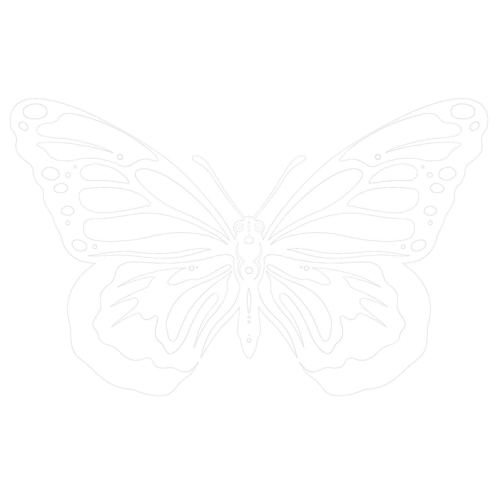 Butterfly Icon